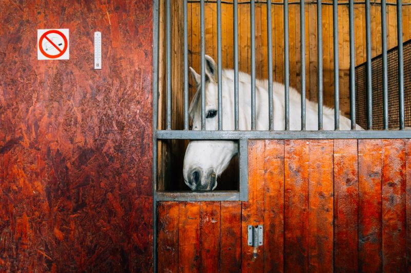 Horse Enclosure Installation