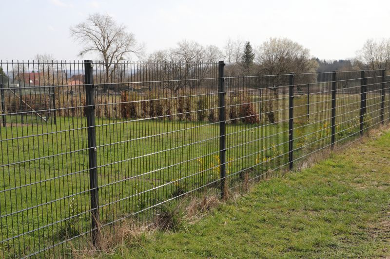 Sheep Fence Installation